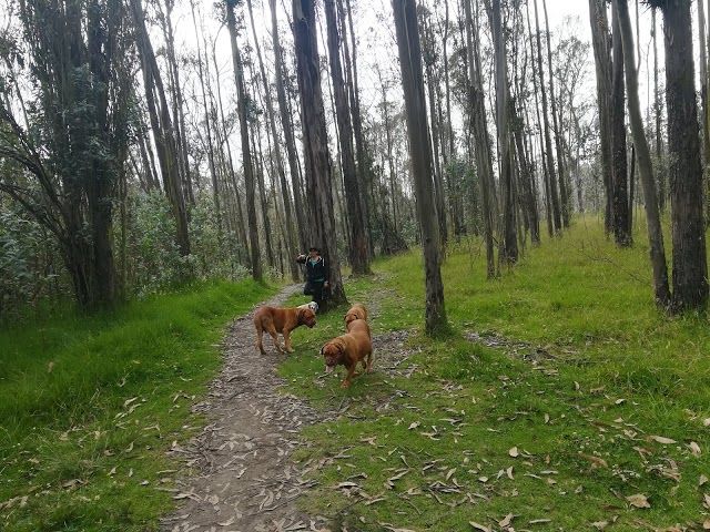 Parque Metropolitano Guanguiltagua